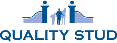 Logo Qualtiy Stud