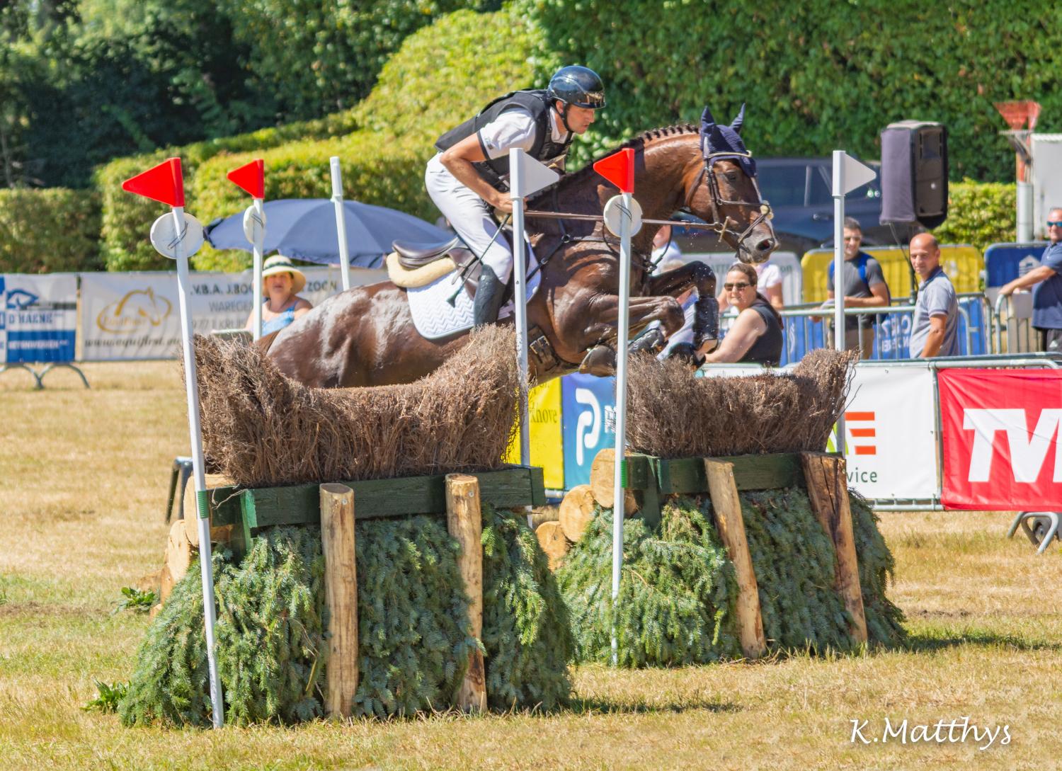 Kon Tiki Quality, an asset to breeders of eventing horses.