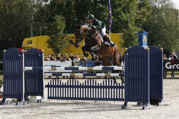 Son of K-Quintana National Champion 5-year old. - Quality Stud